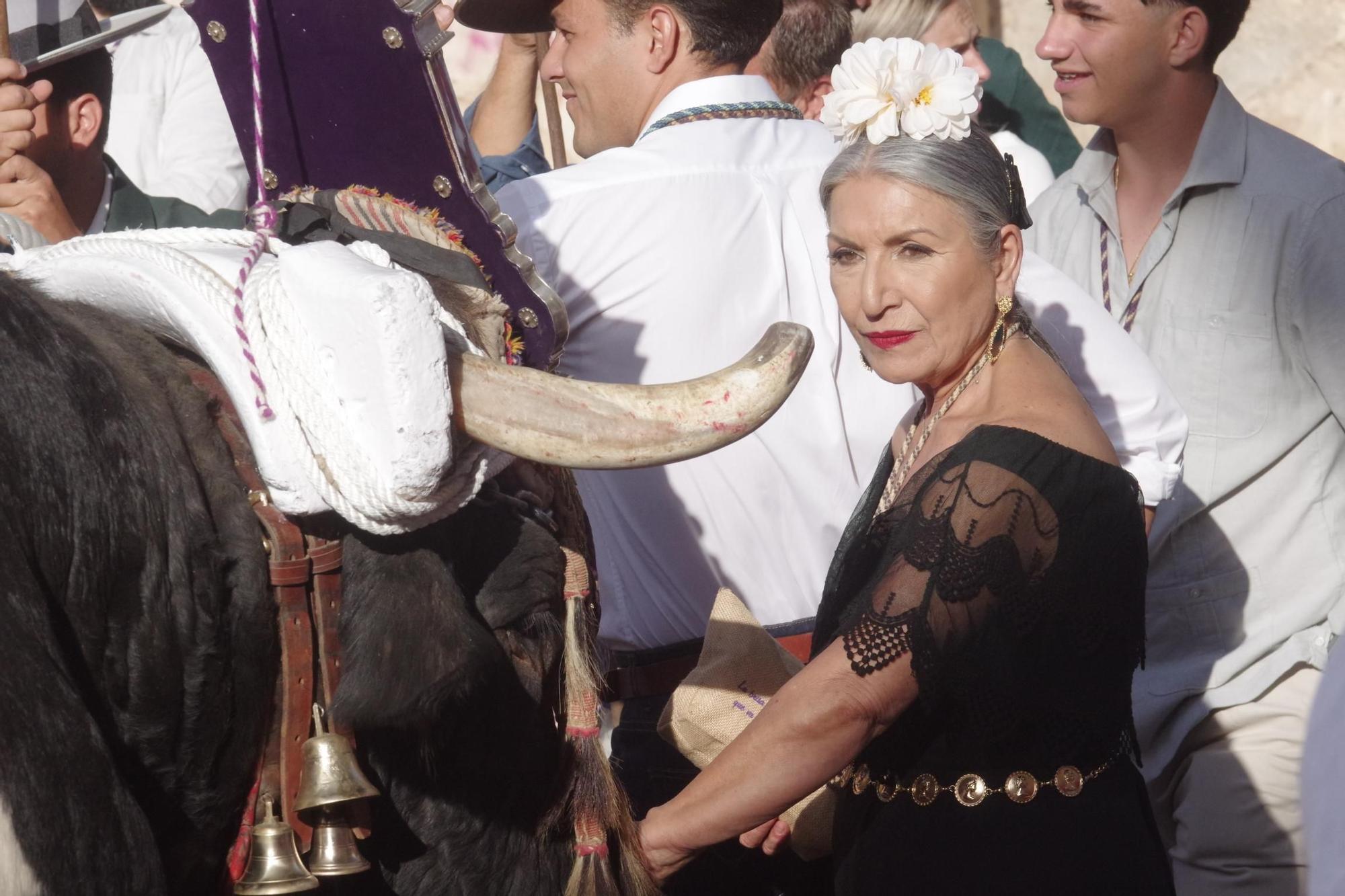 Este sábado inicia su camino a Huelva la Real Hermandad del Rocío de Málaga