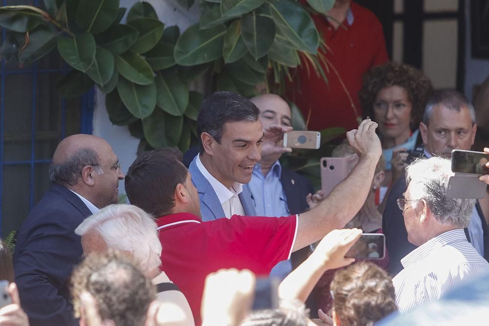 Pedro Sánchez en Córdoba para apoyar a Isabel Ambrosio