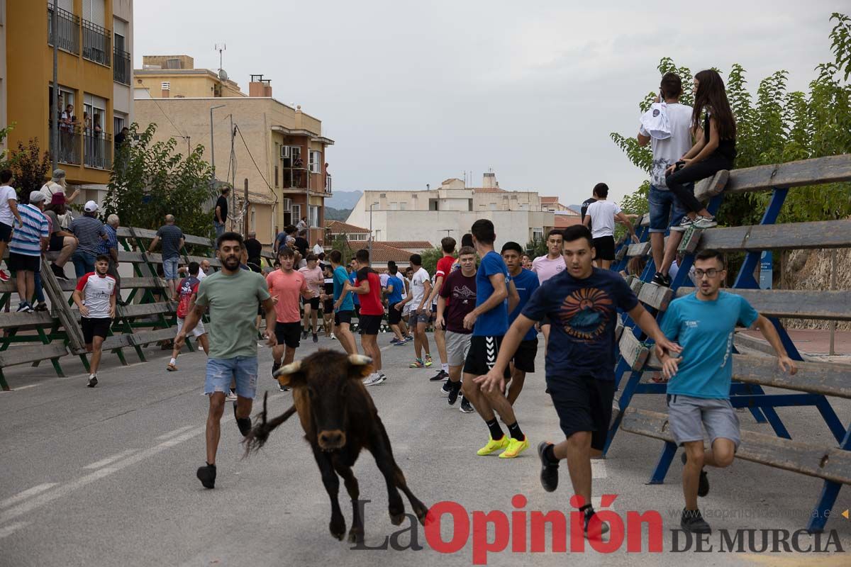 Chupinazo y encierro chico en Calasparra