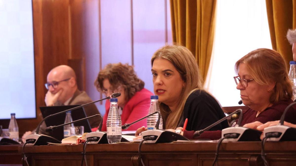 El Grupo Socialista de la Diputación cuestiona la creación de una agrupación provincial de Protección Civil sin informes ni planificación