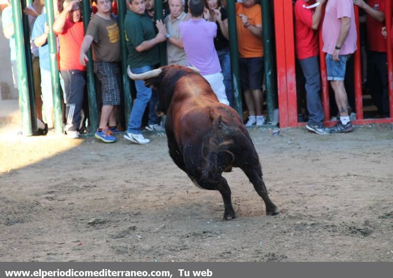 GALERIA DE FOTOS -- Almassora despide unas fiestas con mucho ambiente