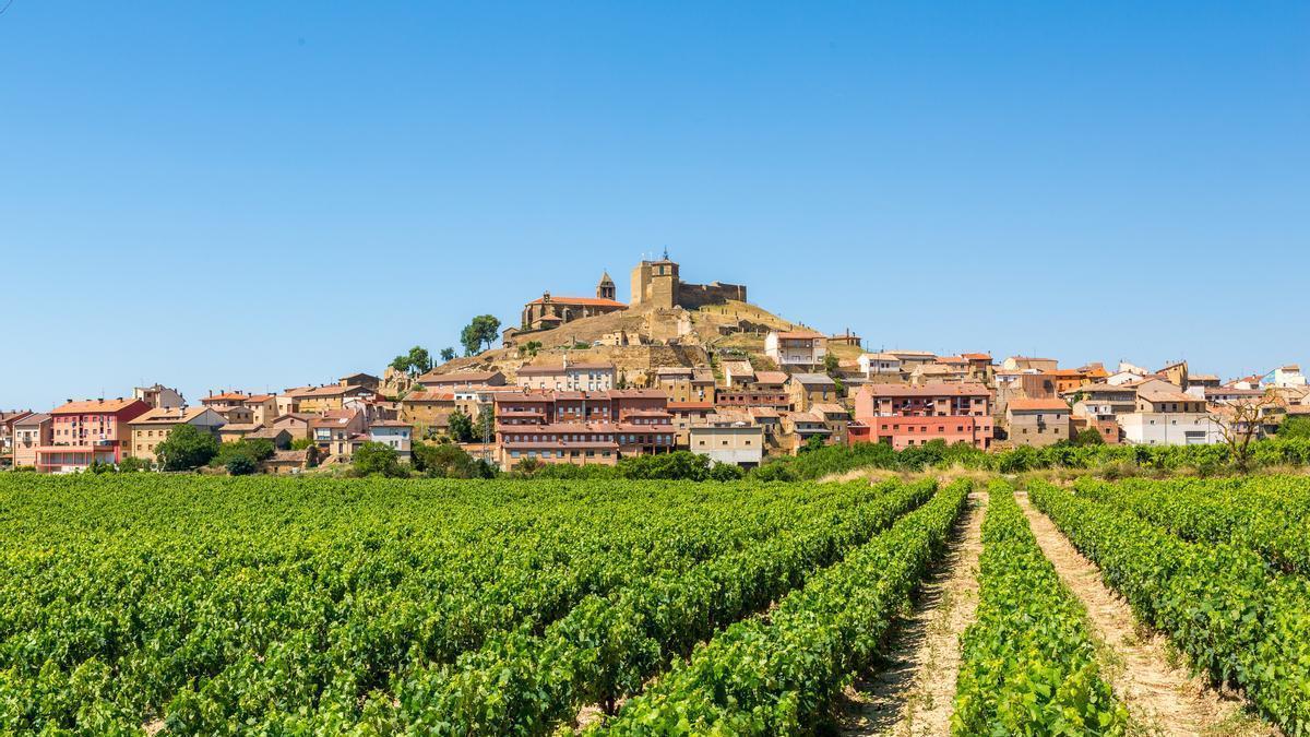La llaman la milla de oro del vino de Rioja