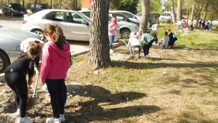 Una de las actividades de reforestación y limpieza del medio de la Colla Ecologista l&#039;Arrel.