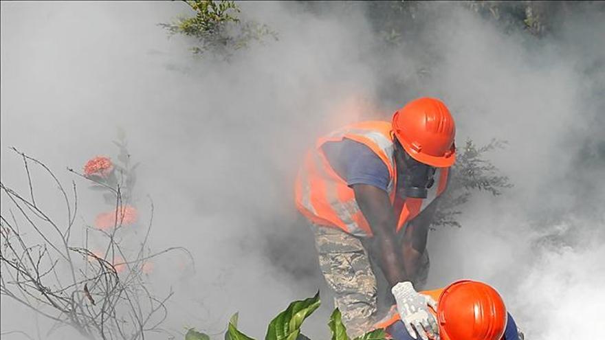 Varios países piden evitar embarazos para frenar el Zika