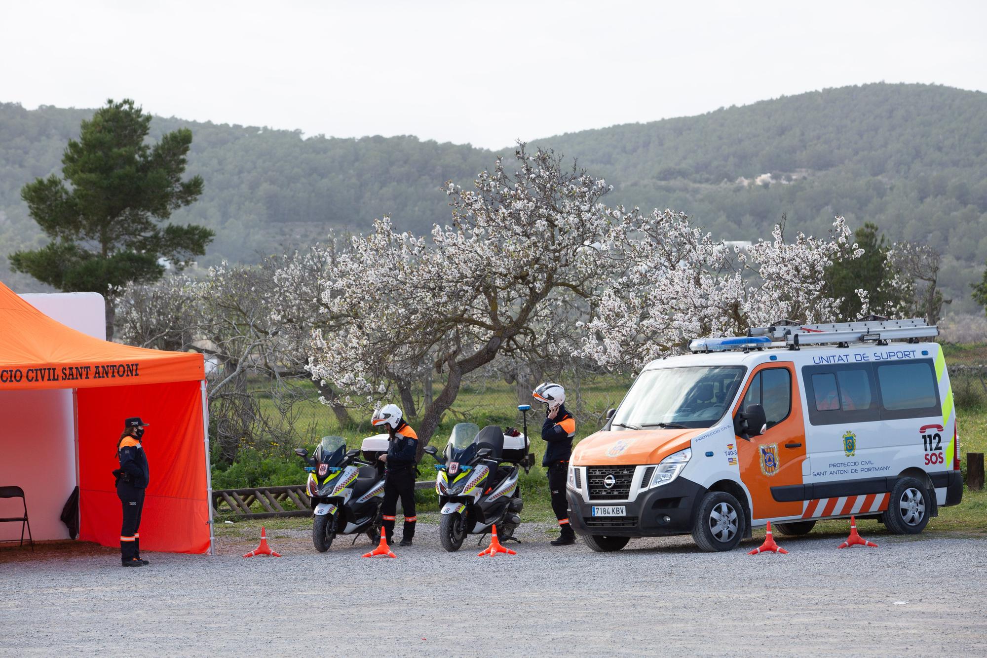 Almendros en flor en Ibiza