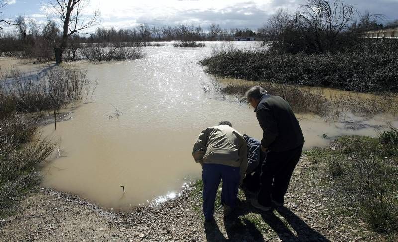 Fotogalería de la crecida del Ebro