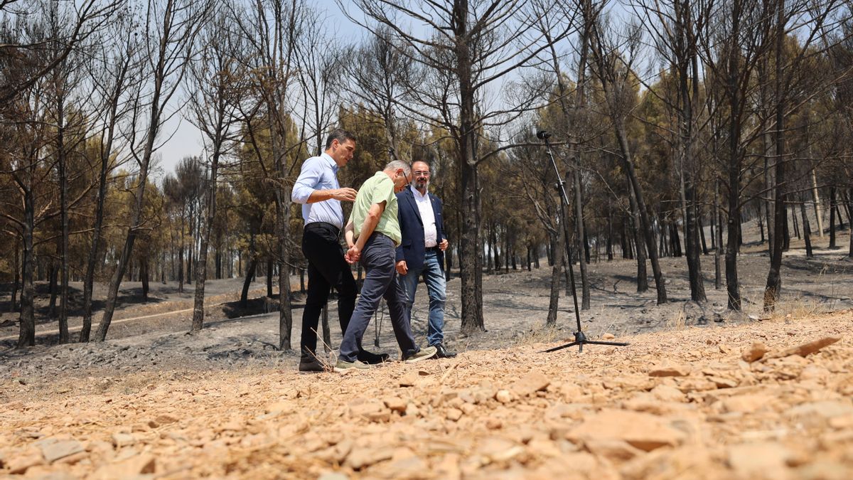 El presidente del Gobierno Pedro Sánchez visita la zona afectada por el incendio de Ateca.