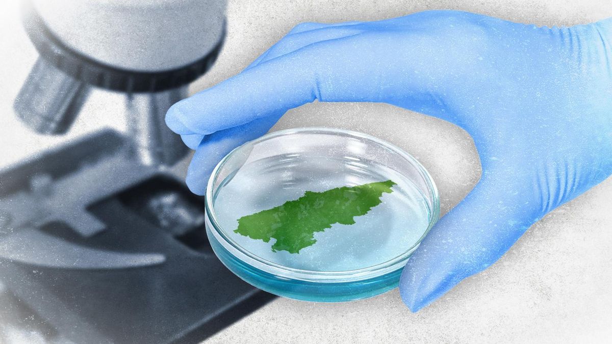 Asturias y la ineludible urgencia de innovar