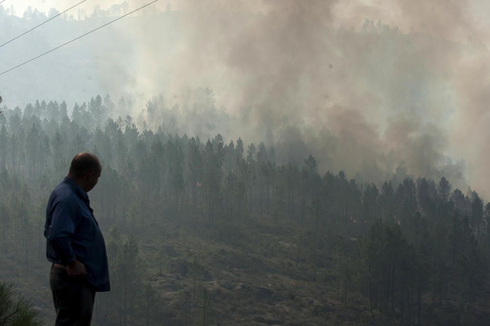 El fuego arrasa 3.000 hectáreas en Ourense