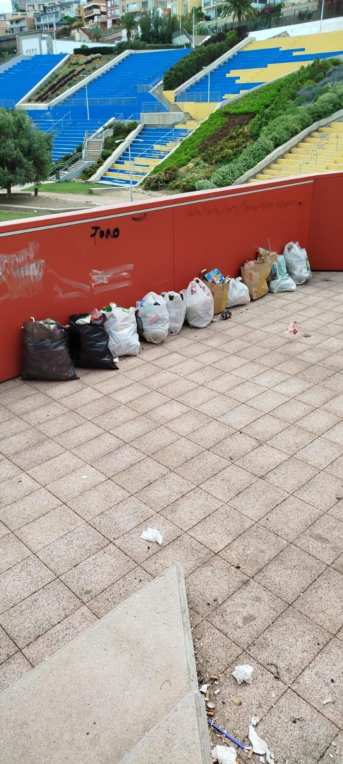 Bolsas de basura recogida por los dos jóvenes.