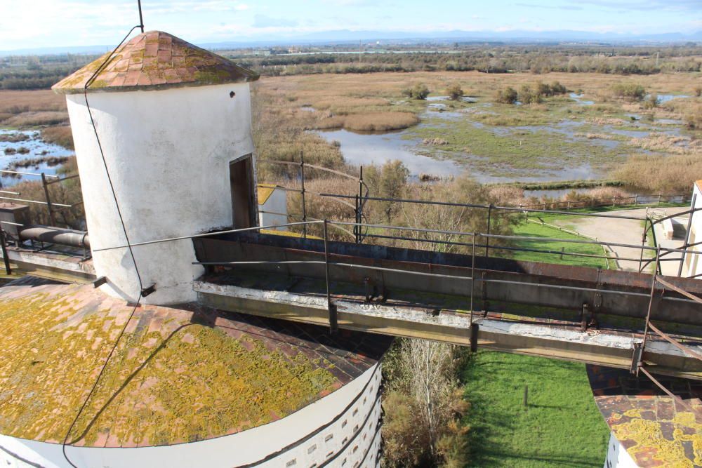 Els Aiguamolls de l''Empordà fan honor al seu nom