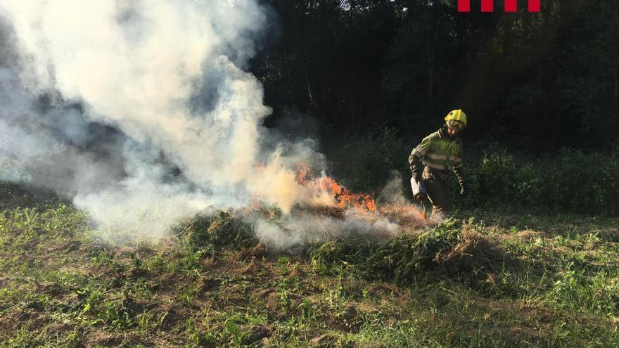 Agents Rurals i Bombers han col·laborat amb els Mossos.