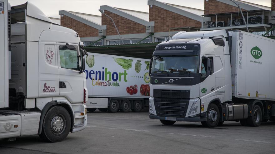 Transportistas españoles denuncian ataques en Francia contra sus camiones