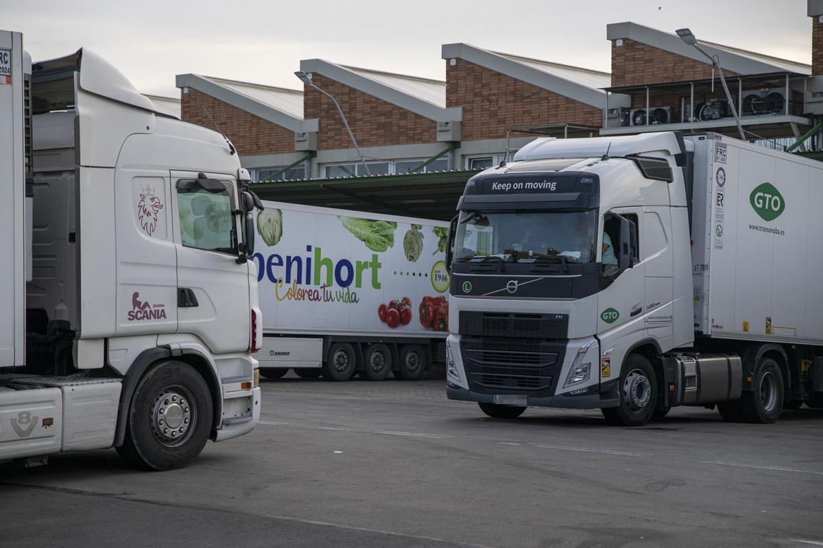Transportistes espanyols denuncien atacs a França contra els seus camions Transportistes espanyols denuncien atacs a França contra els seus camions
