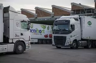 Vídeo | Transportistas españoles denuncian ataques en Francia contra sus camiones
