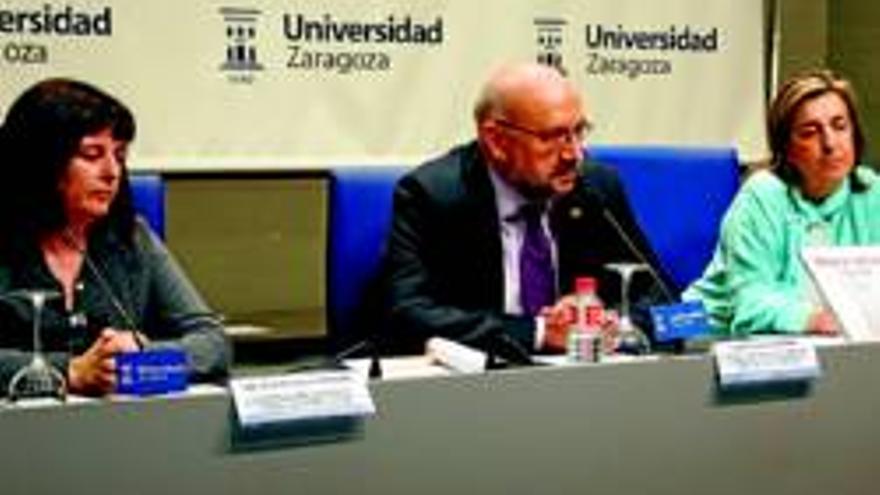 Unos 200 trabajadores sociales debaten su futuro en Zaragoza