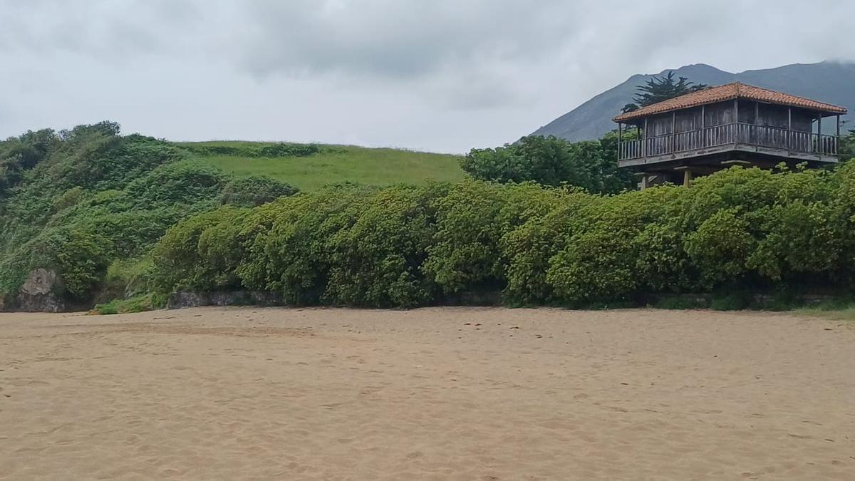 La finca en la que se construirá una urbanización residencial, vista desde la playa de La Isla, en el concejo de Colunga.
