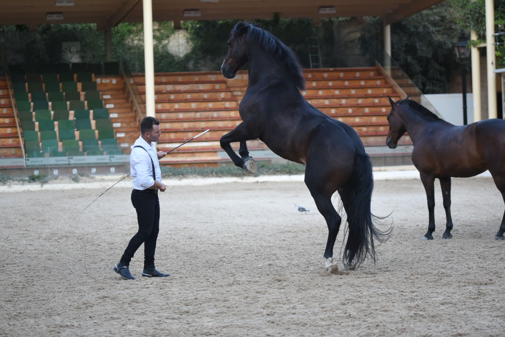 Inauguración de Cabalcor 2022