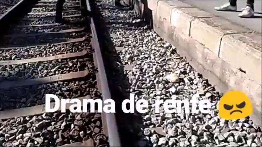 Matí de col·lapse a Renfe