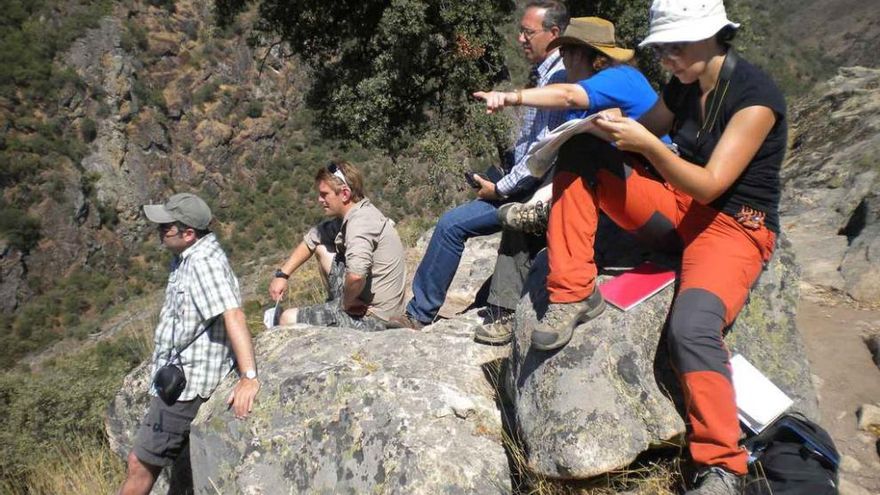 Loreto Antón López, realiza labores de campo en Ricobayo junto a otros investigadores.