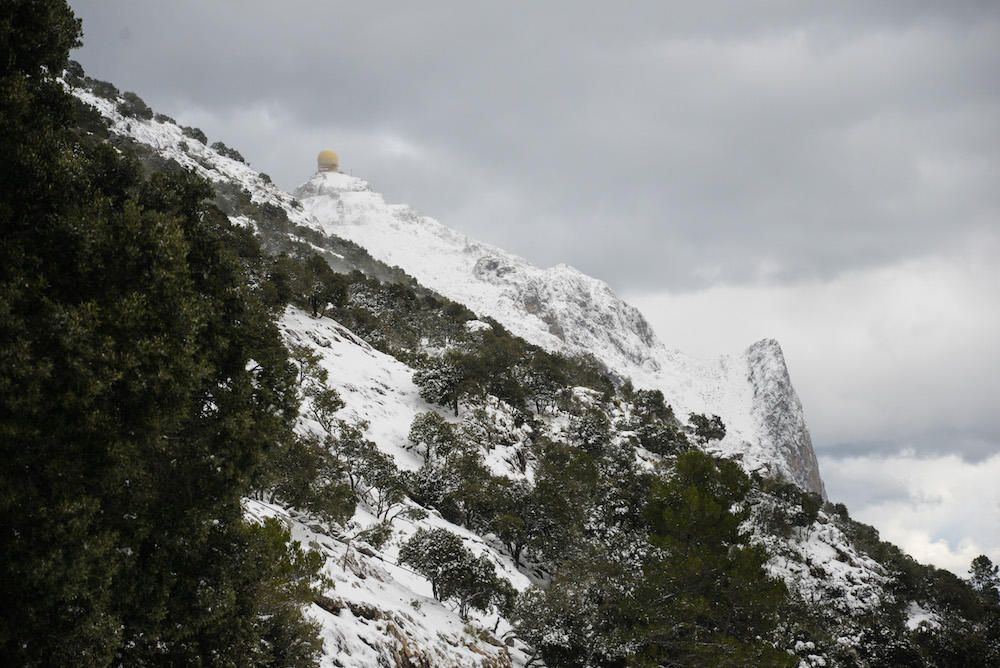 Der frühe Schnee hat am Samstag (2.12.) zahlreiche Insulaner in die Tramuntana gelockt, wo es die seltene Gelegenheit zu Schneeballschlachten oder zum Bau von Schneemännern gab.