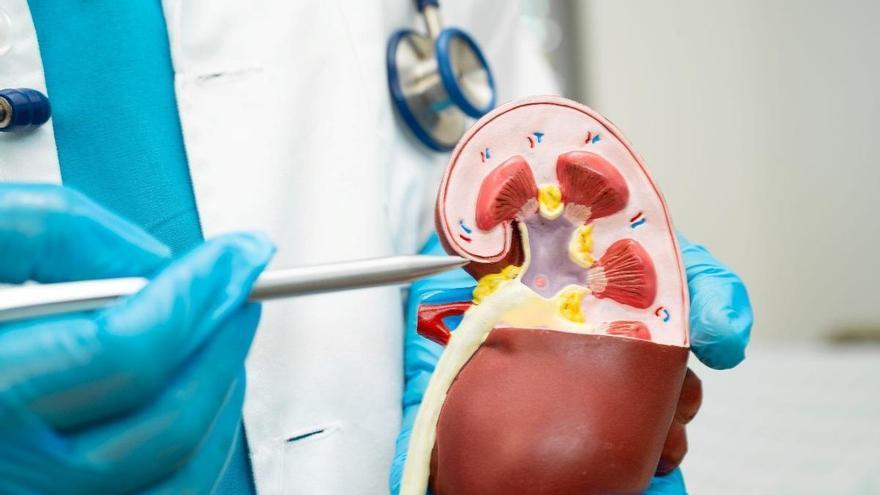 Algo que tal vez no sepas de la infección de orina