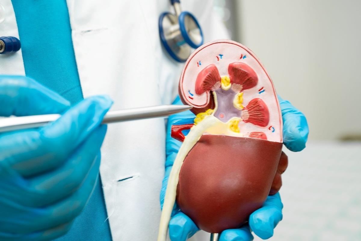Una cosa que potser no saps de la infecció d’orina