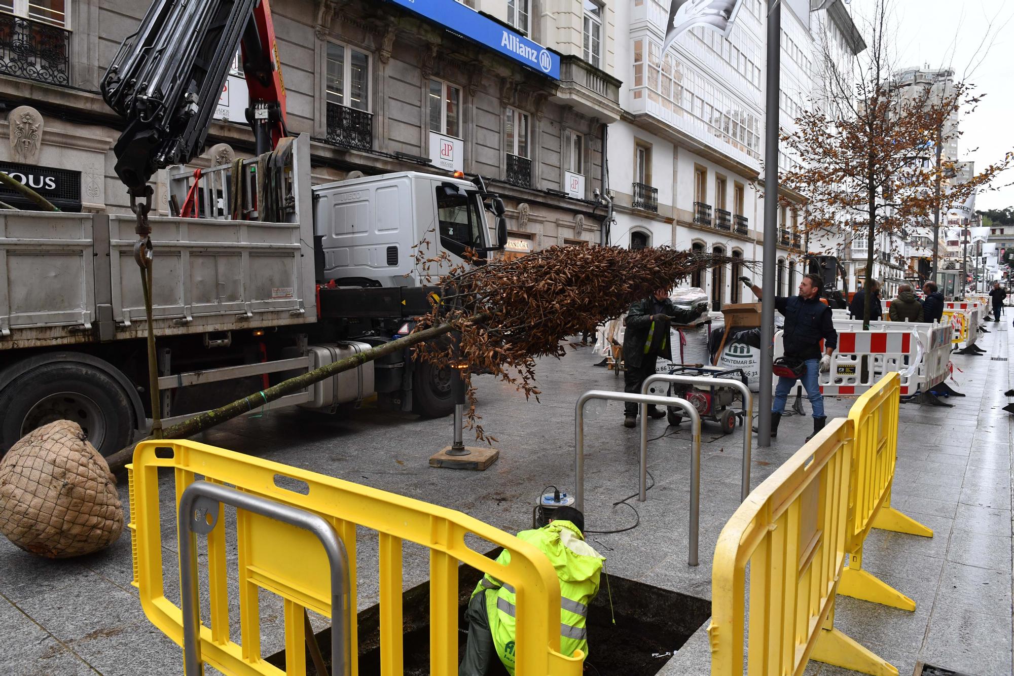 Árboles para peatonalizar calle Compostela