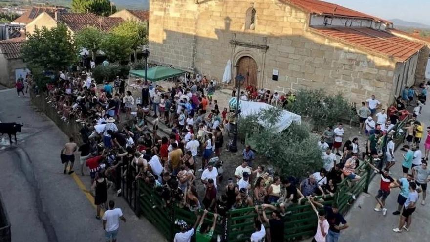 Vecinos de Perales del Puerto impulsan una recogida de firmas para modificar el recorrido de los festejos taurinos del Emigrante