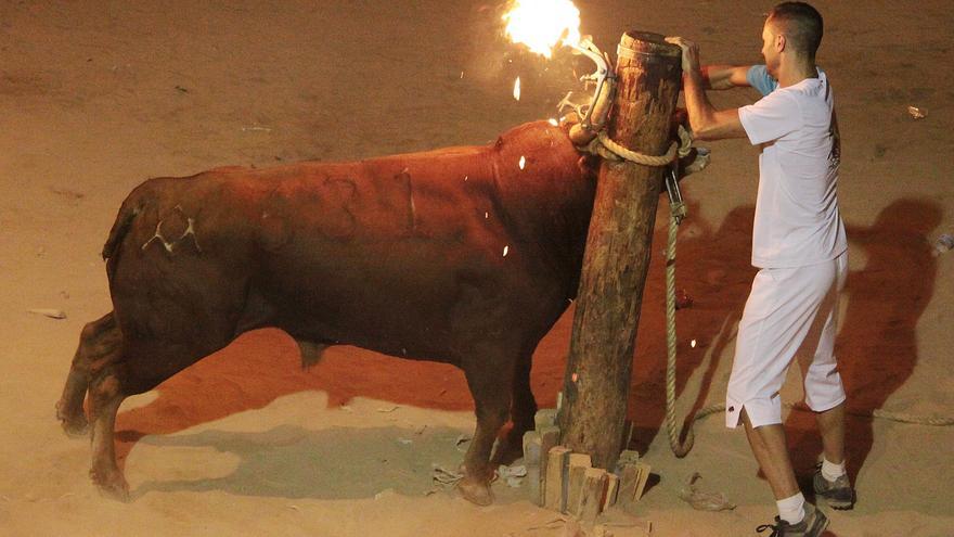 Un barrio de Castelló embolará 15 toros este sábado: &quot;Creemos que es el Récord Guinness&quot;