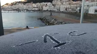 L'Alt Empordà viu la nit més gèlida de l'hivern amb sis graus sota zero a Castelló