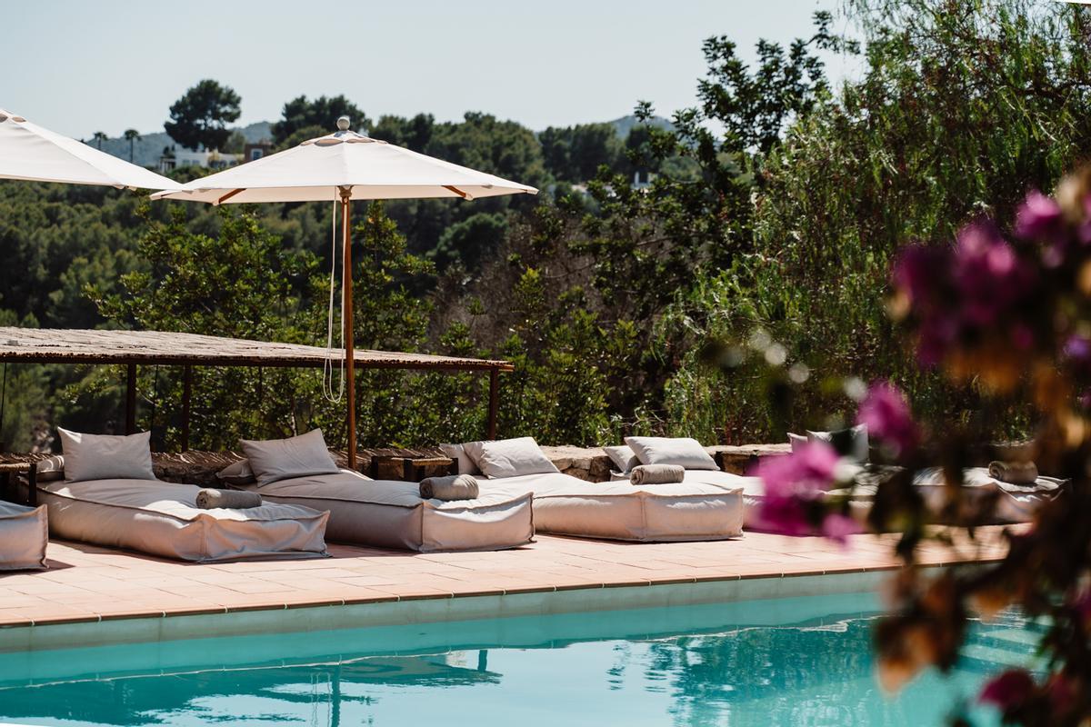 Piscina rodeada de jardines y huertos.