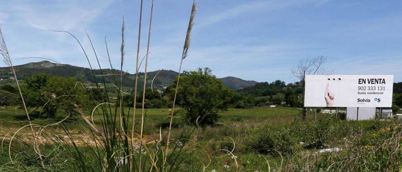 Fincas en La Lloral. Al fondo, el cartel de la inmobiliaria del Banco Sabadell.