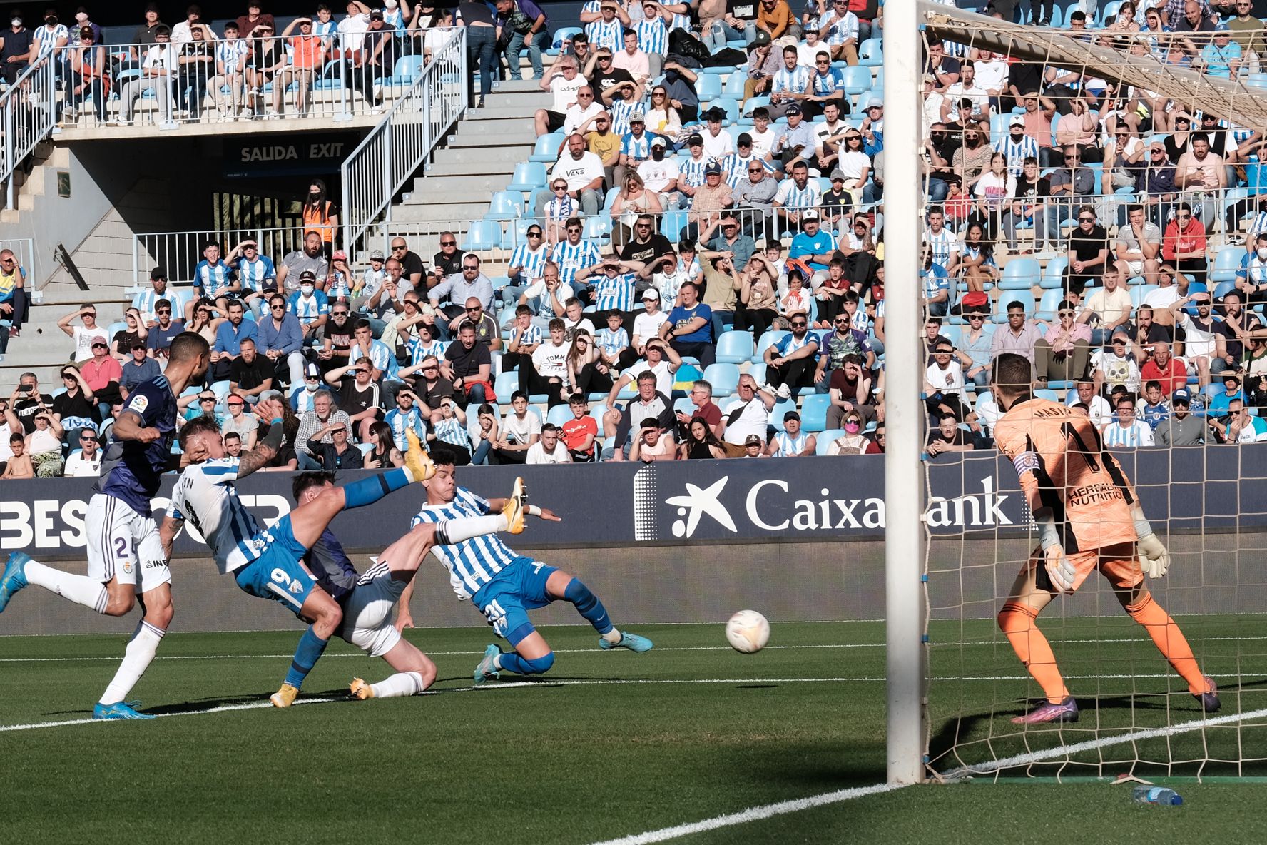 Las imágenes del Málaga CF - Real Valladolid