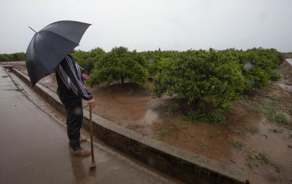 Un agricultor mira sus campos en Sagunt.