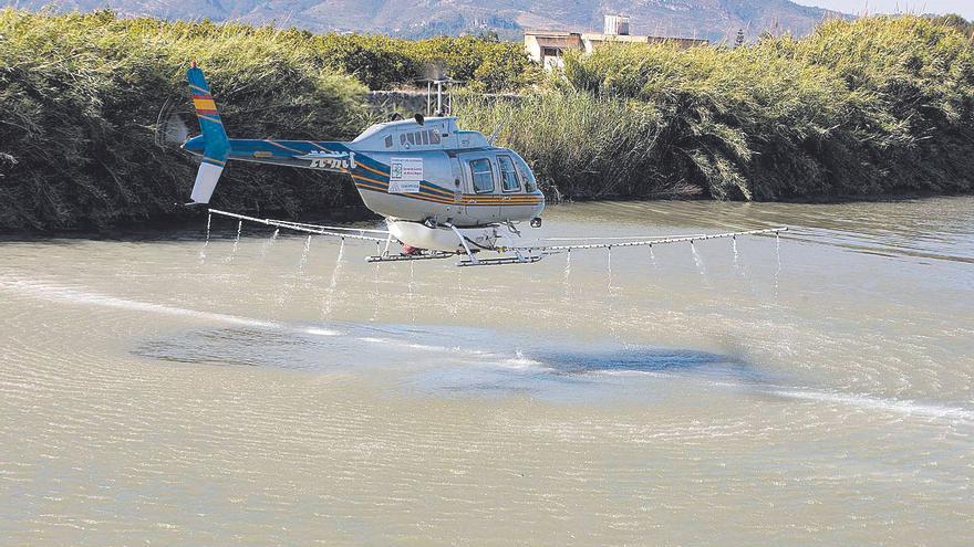 El calor y la sequía elevan el temor a la mosca negra frente al mosquito tigre en la Ribera