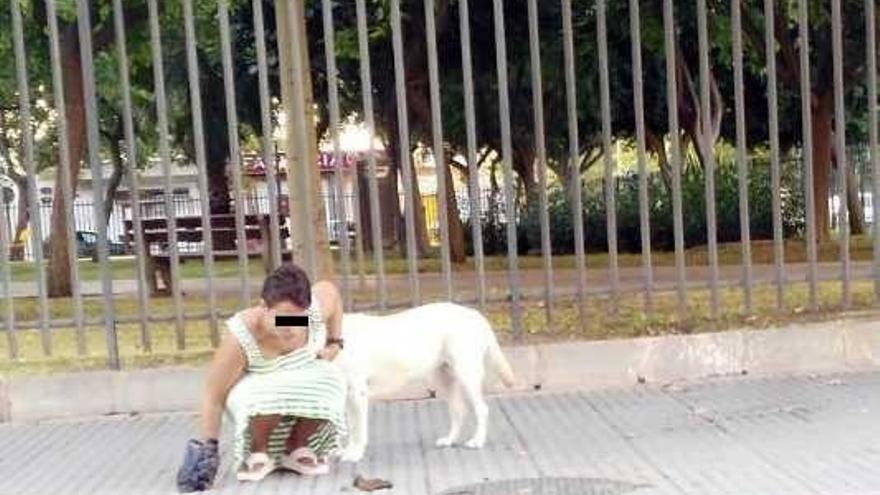 Una mujer recoge un excremento canino, en una imagen de archivo.