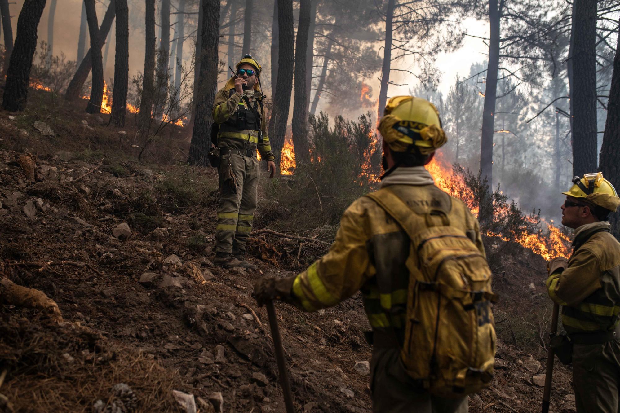 GALERÍA | El incendio de la Sierra de la Culebra, en imágenes