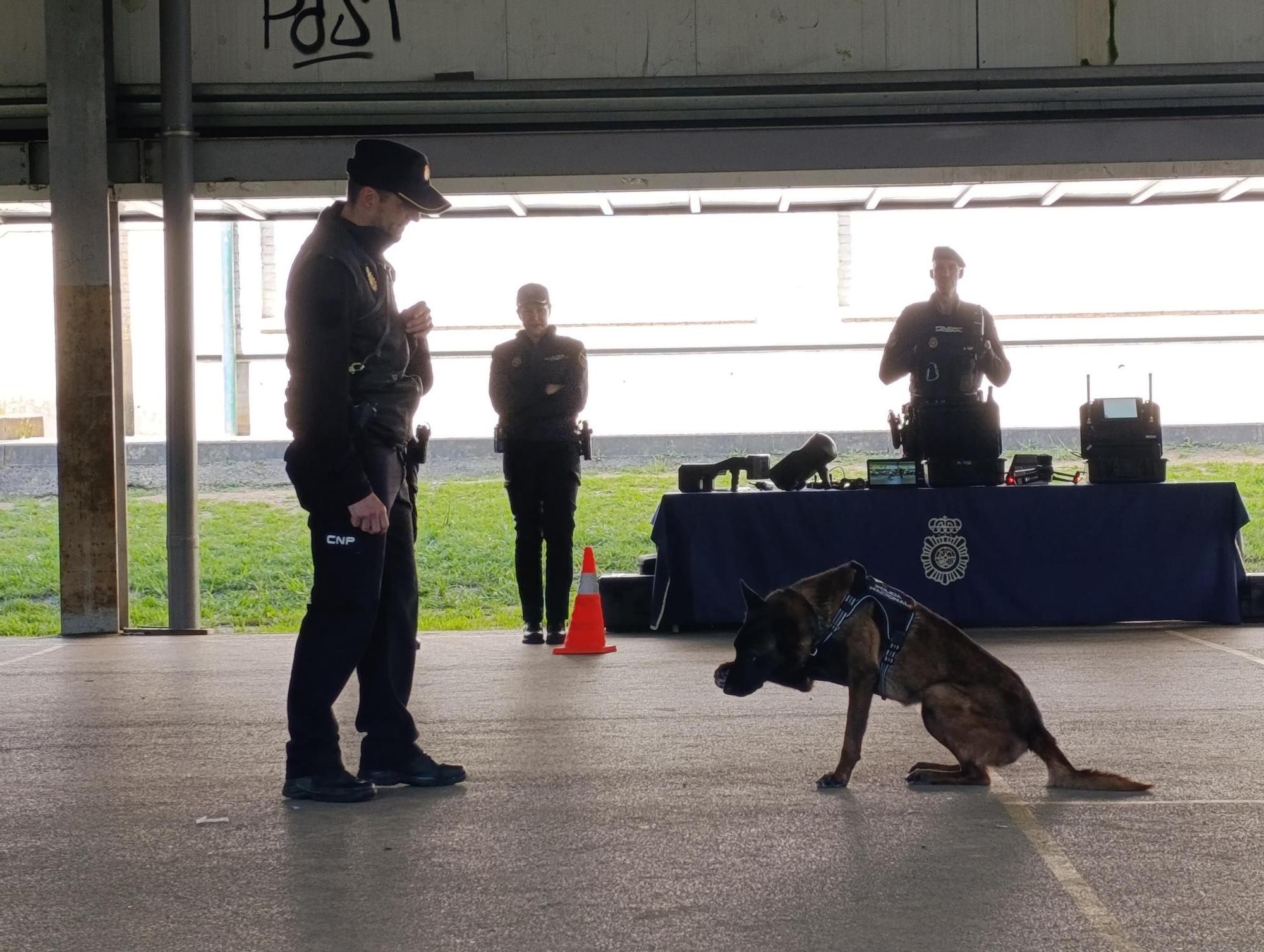 Así fue la exhibición de la Policía Nacional en el colegio La Fresneda, en Siero