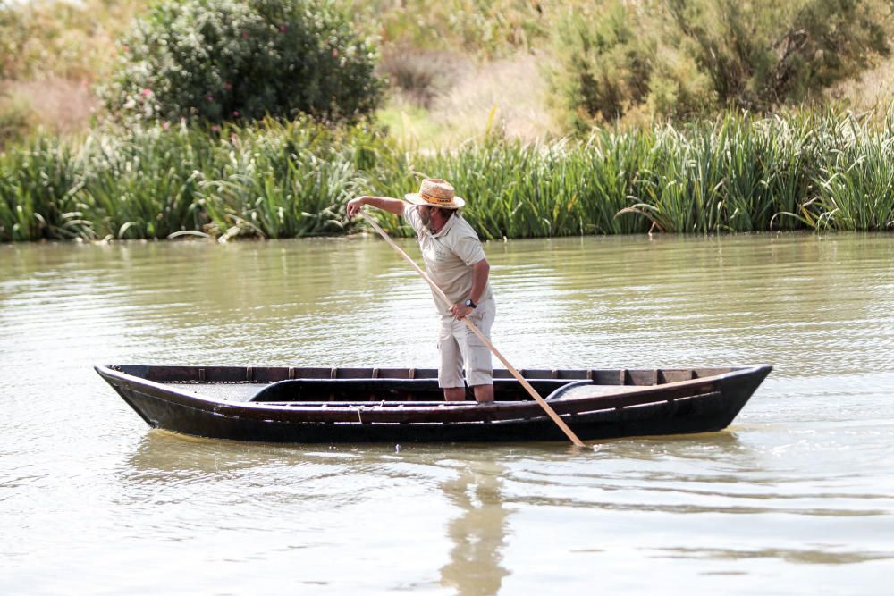 Fiesta de la Siega del Arroz