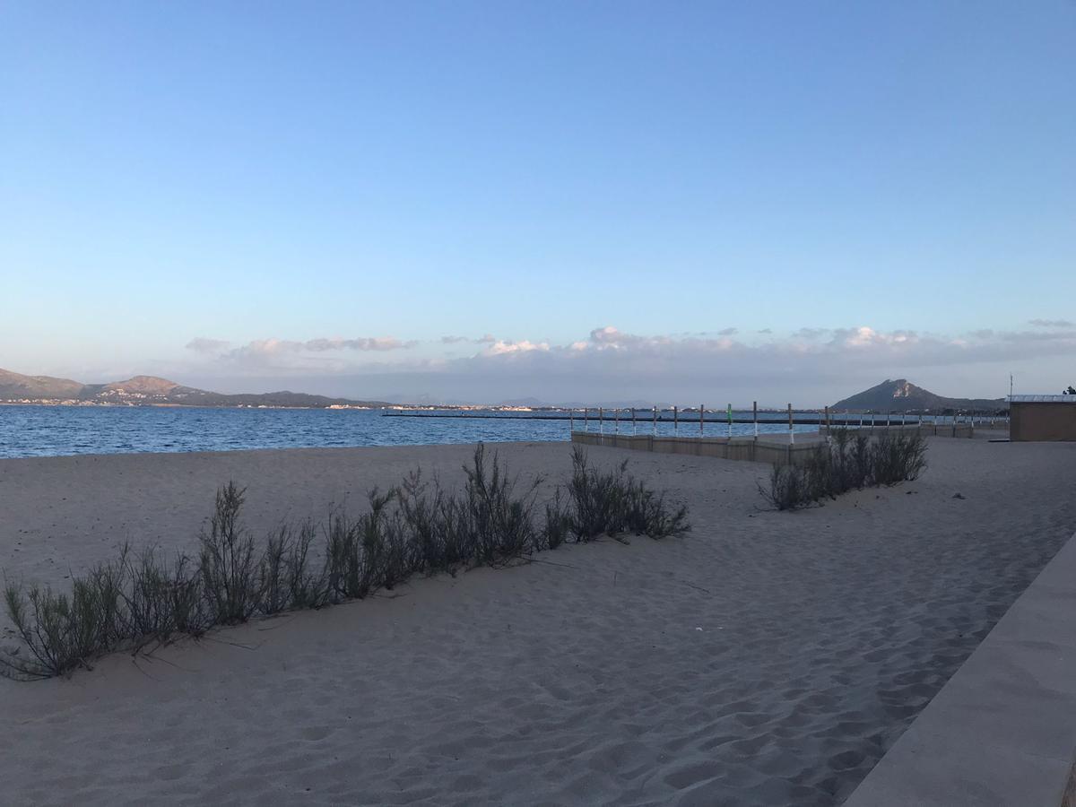 Las playas presentan este aspecto a estas alturas de la temporada.