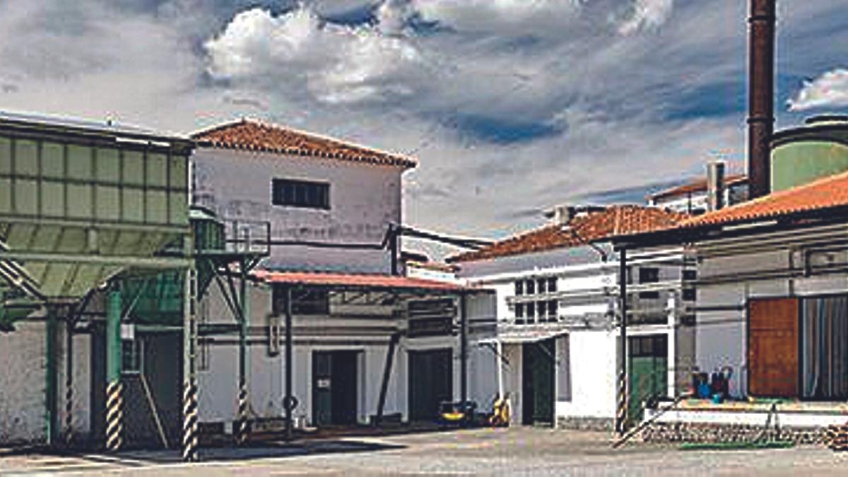 Imagen de la Cooperativa Olivarera de Los Pedroches.