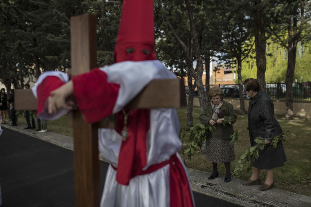 Semana Santa en la provincia 2019 | Domingo de Ram