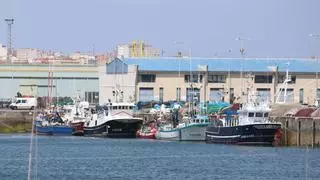 La lonja de A Coruña repite un año de alta recaudación, pero el cambio climático amenaza la campaña de Navidad: "Los temporales se vuelven más continuos"