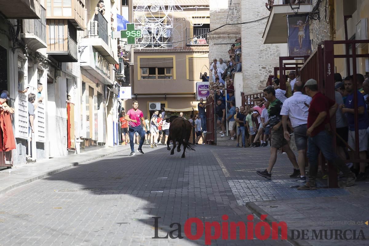Cuarto encierro en las Fiestas de Moratalla