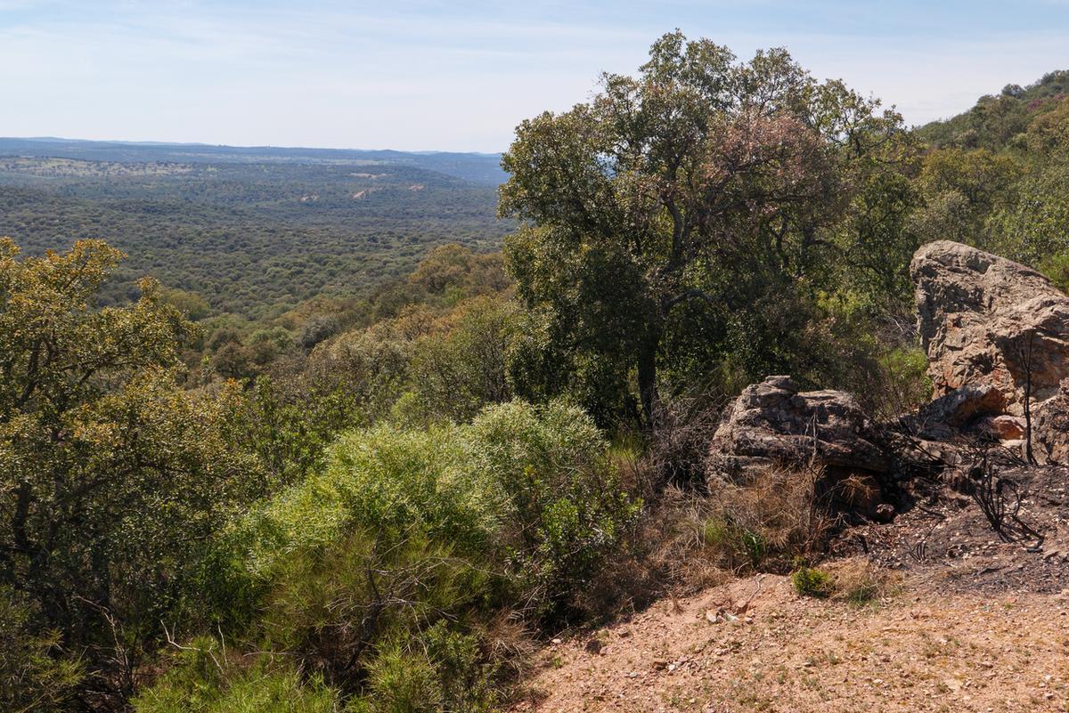 Parque Natural de la Sierra Norte de Sevilla