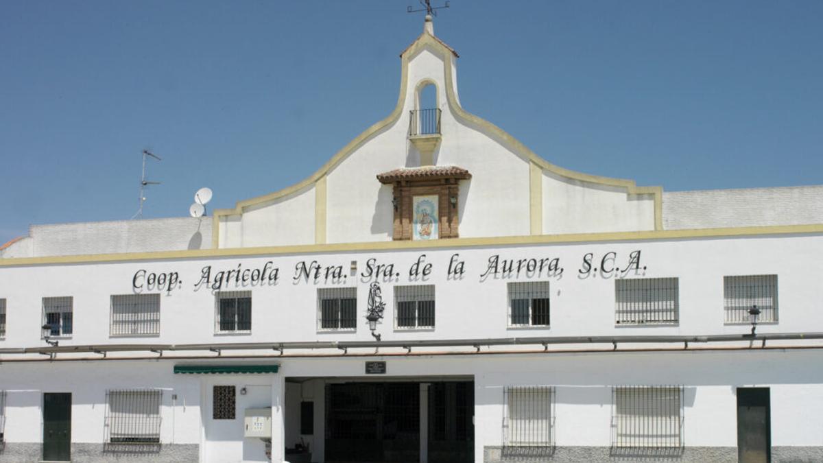 Cooperativa La Aurora, de Montilla.