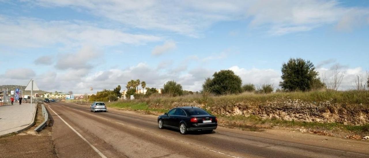 Estado actual de la avenida Felipe Vi, tramo urbano de la N-630.