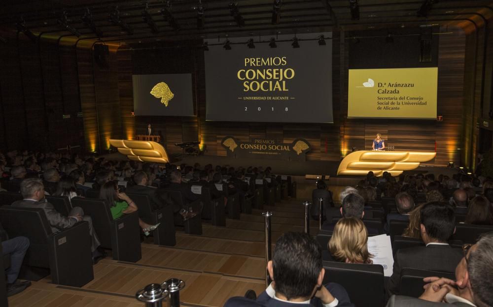 Premios del Consejo Social de la UA