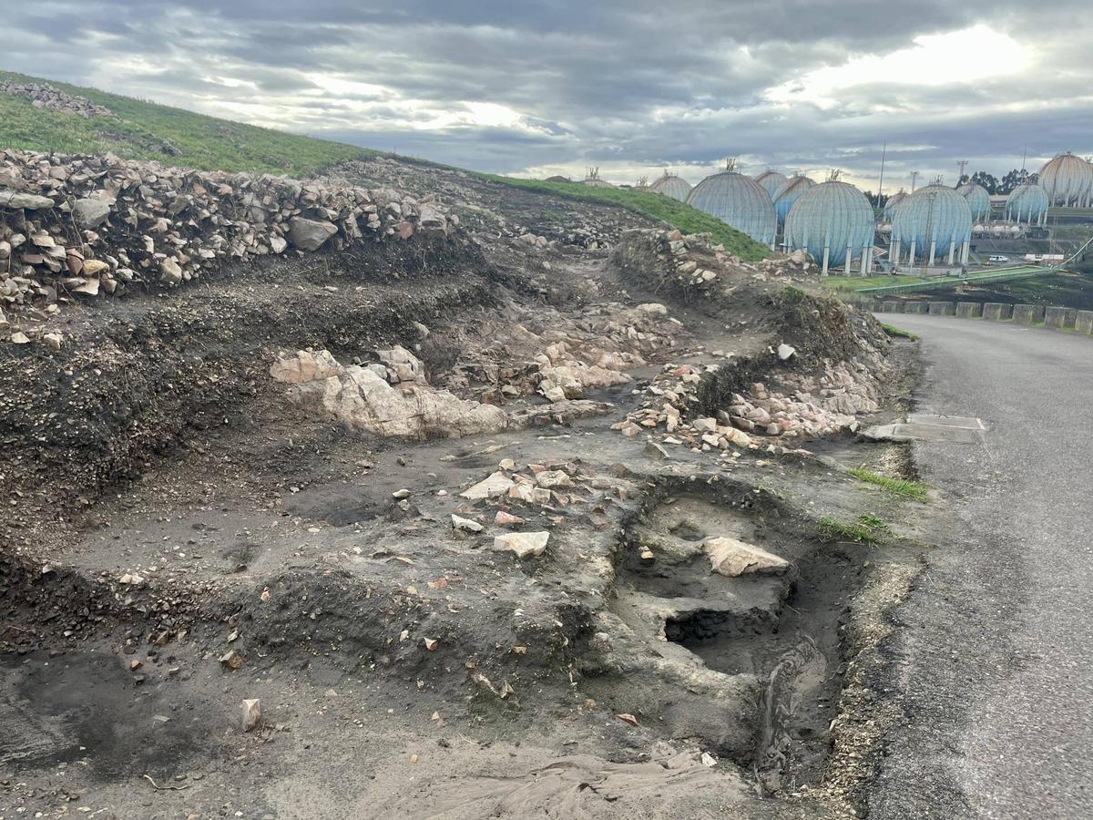 Los nuevos "tesoros" de la Campa Torres, en imágenes Los nuevos "tesoros" de la Campa Torres, en imágenes